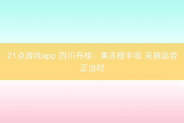 21点游戏app 四川丹棱：果冻橙丰收 采摘品尝正当时