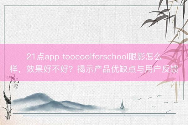 21点app toocoolforschool眼影怎么样，效果好不好？揭示产品优缺点与用户反馈