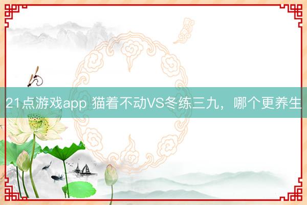 21点游戏app 猫着不动VS冬练三九，哪个更养生
