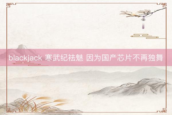 blackjack 寒武纪祛魅 因为国产芯片不再独舞