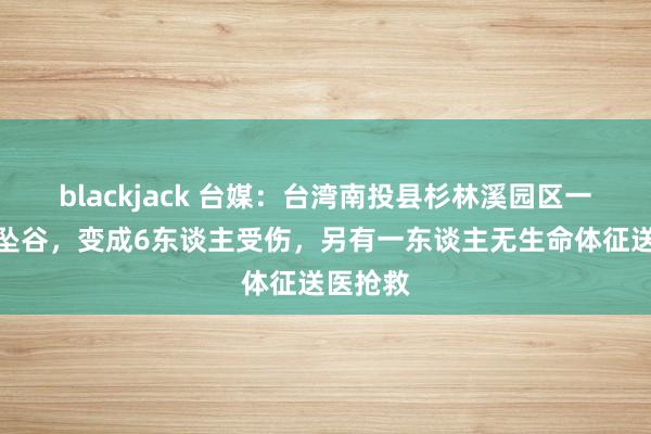 blackjack 台媒：台湾南投县杉林溪园区一游览车坠谷，变成6东谈主受伤，另有一东谈主无生命体征送医抢救