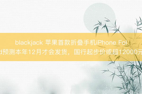 blackjack 苹果首款折叠手机iPhone Fold预测本年12月才会发货，国行起步价或超12000元