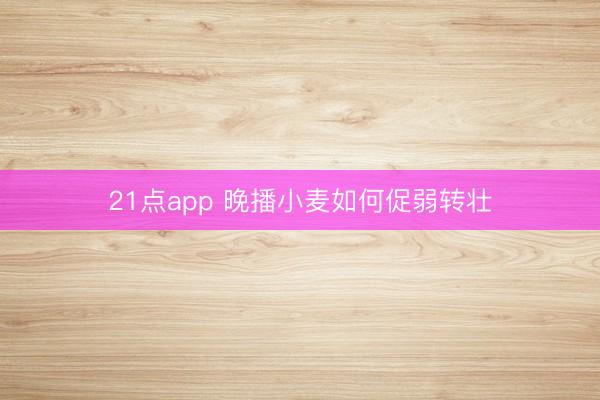 21点app 晚播小麦如何促弱转壮