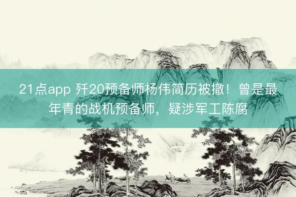 21点app 歼20预备师杨伟简历被撤！曾是最年青的战机预备师，疑涉军工陈腐