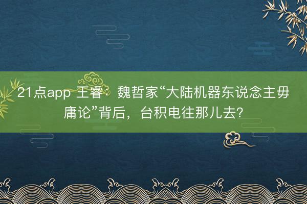 21点app 王睿：魏哲家“大陆机器东说念主毋庸论”背后，台积电往那儿去？