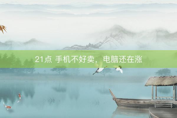 21点 手机不好卖，电脑还在涨