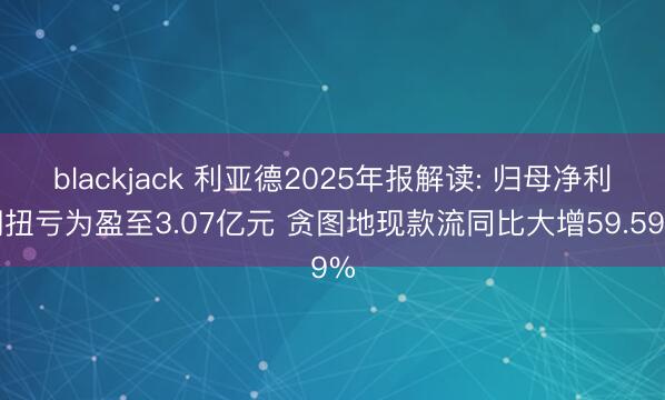 blackjack 利亚德2025年报解读: 归母净利润扭亏为盈至3.07亿元 贪图地现款流同比大增59.59%