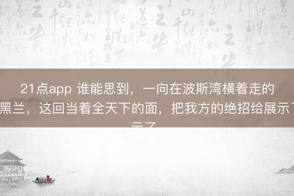 21点app 谁能思到，一向在波斯湾横着走的德黑兰，这回当着全天下的面，把我方的绝招给展示了。