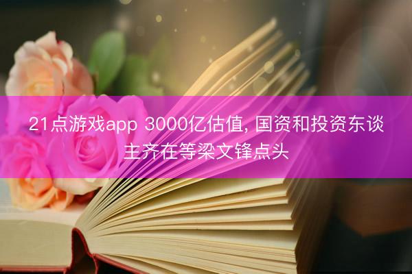 21点游戏app 3000亿估值, 国资和投资东谈主齐在等梁文锋点头