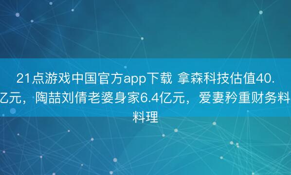 21点游戏中国官方app下载 拿森科技估值40.5亿元，陶喆刘倩老婆身家6.4亿元，爱妻矜重财务料理