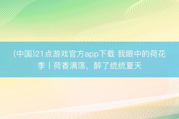 (中国)21点游戏官方app下载 我眼中的荷花季丨荷香满荡，醉了统统夏天